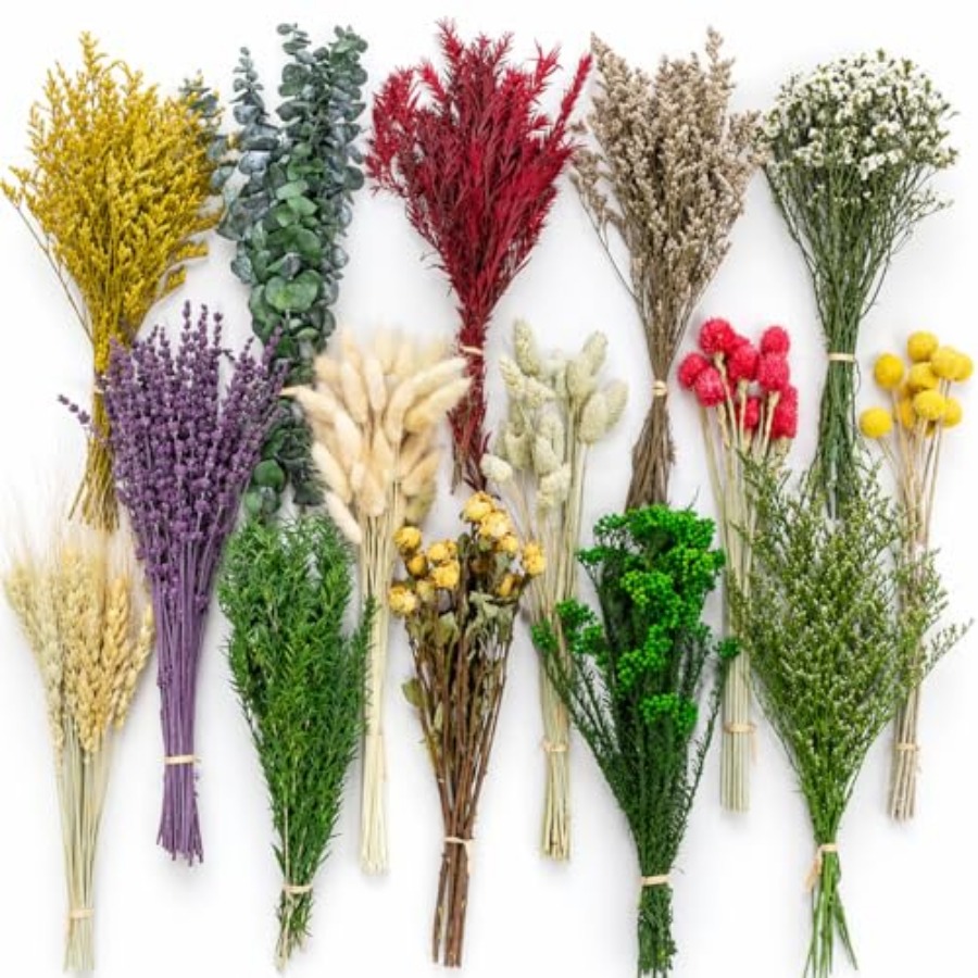 15 Kind Natural DIY Dried Flow - огляд і ціна Eucalyptus Preserved