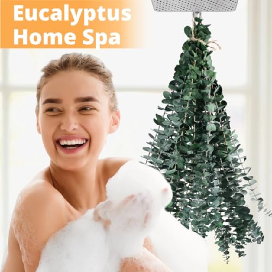 Dried Eucalyptus for Shower Ha - огляд і ціна Eucalyptus Preserved