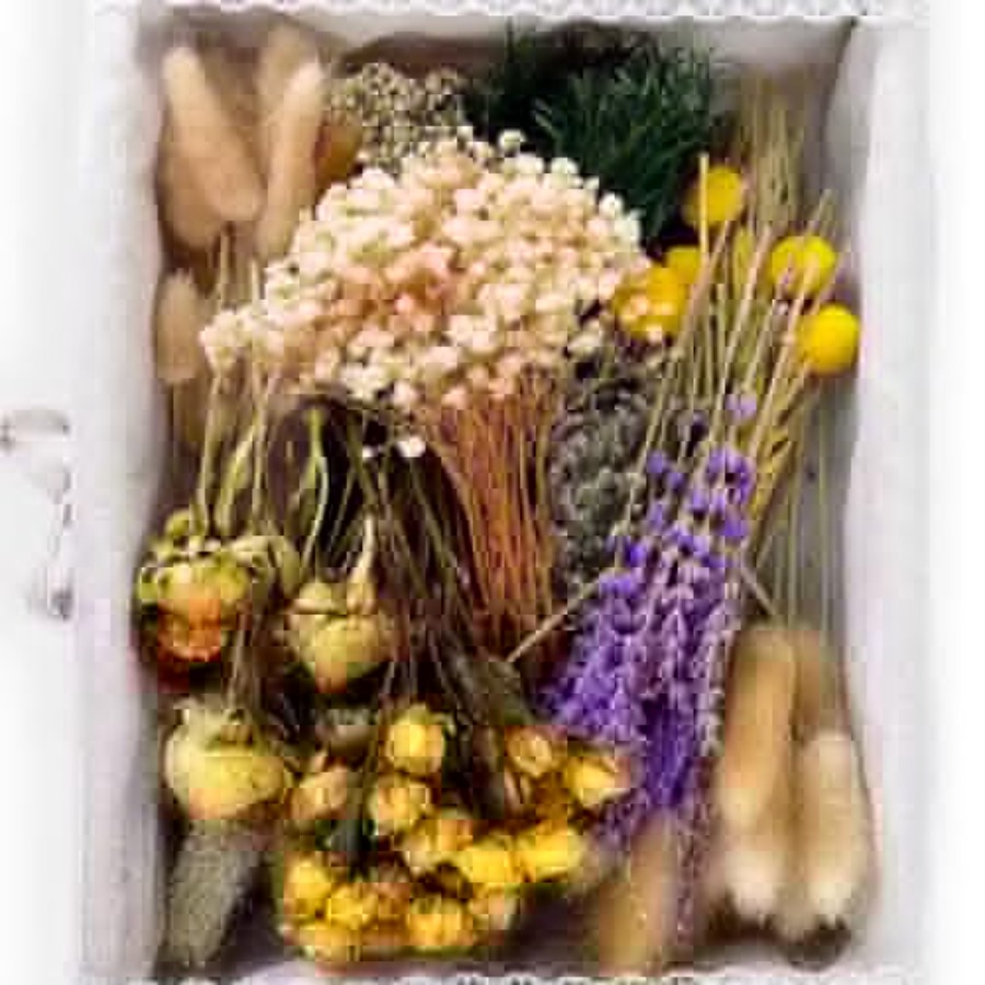 130Pcs DIY Mixed Natural Dried - огляд і ціна Eucalyptus Preserved