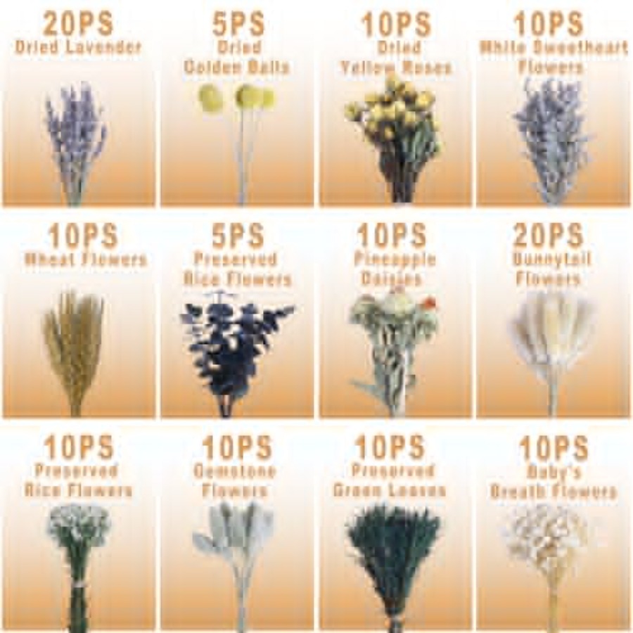 130Pcs DIY Mixed Natural Dried - огляд і ціна Eucalyptus Preserved