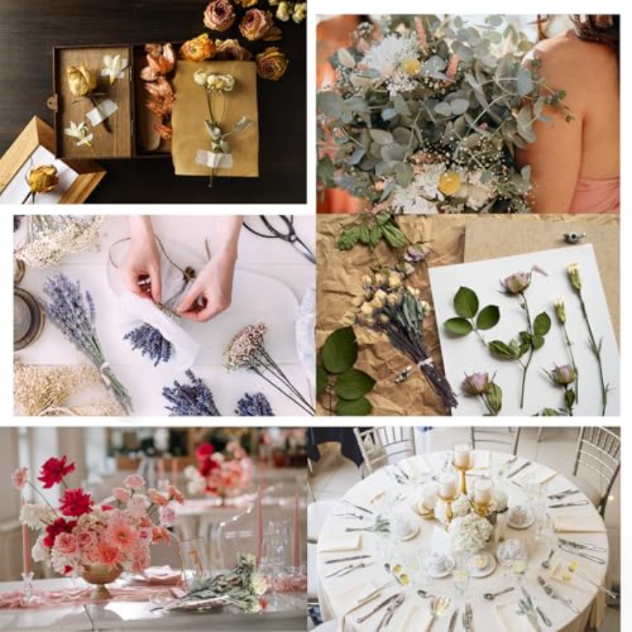 130Pcs DIY Mixed Natural Dried - огляд і ціна Eucalyptus Preserved