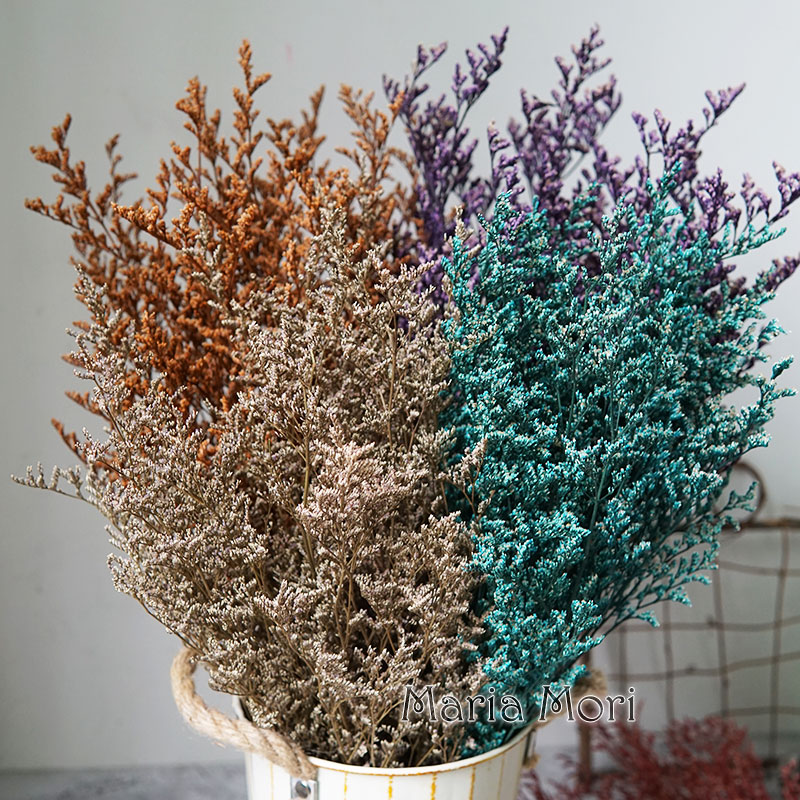 50g/Preserved Valentine's Gras - огляд і ціна Eucalyptus Preserved