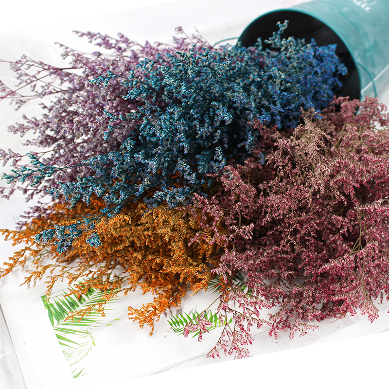 50g/Preserved Valentine's Gras - огляд і ціна Eucalyptus Preserved
