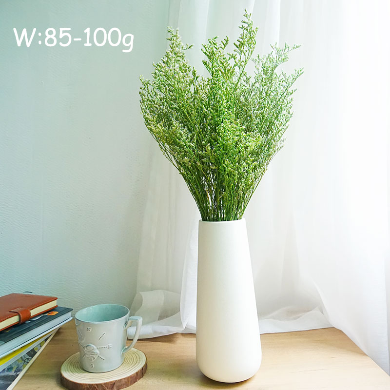 50g/Preserved Valentine's Gras - огляд і ціна Eucalyptus Preserved
