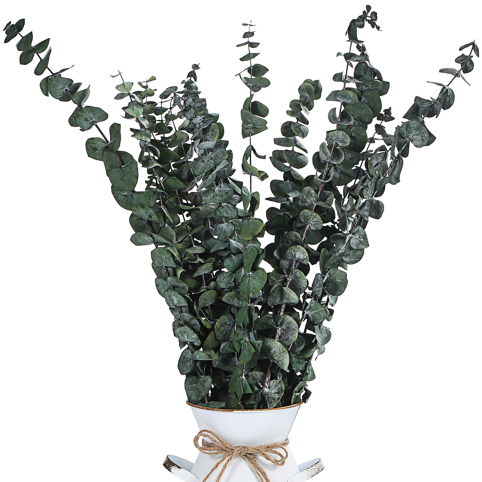 20 pcs Eucalyptus Leaves Dried - огляд і ціна Eucalyptus Preserved