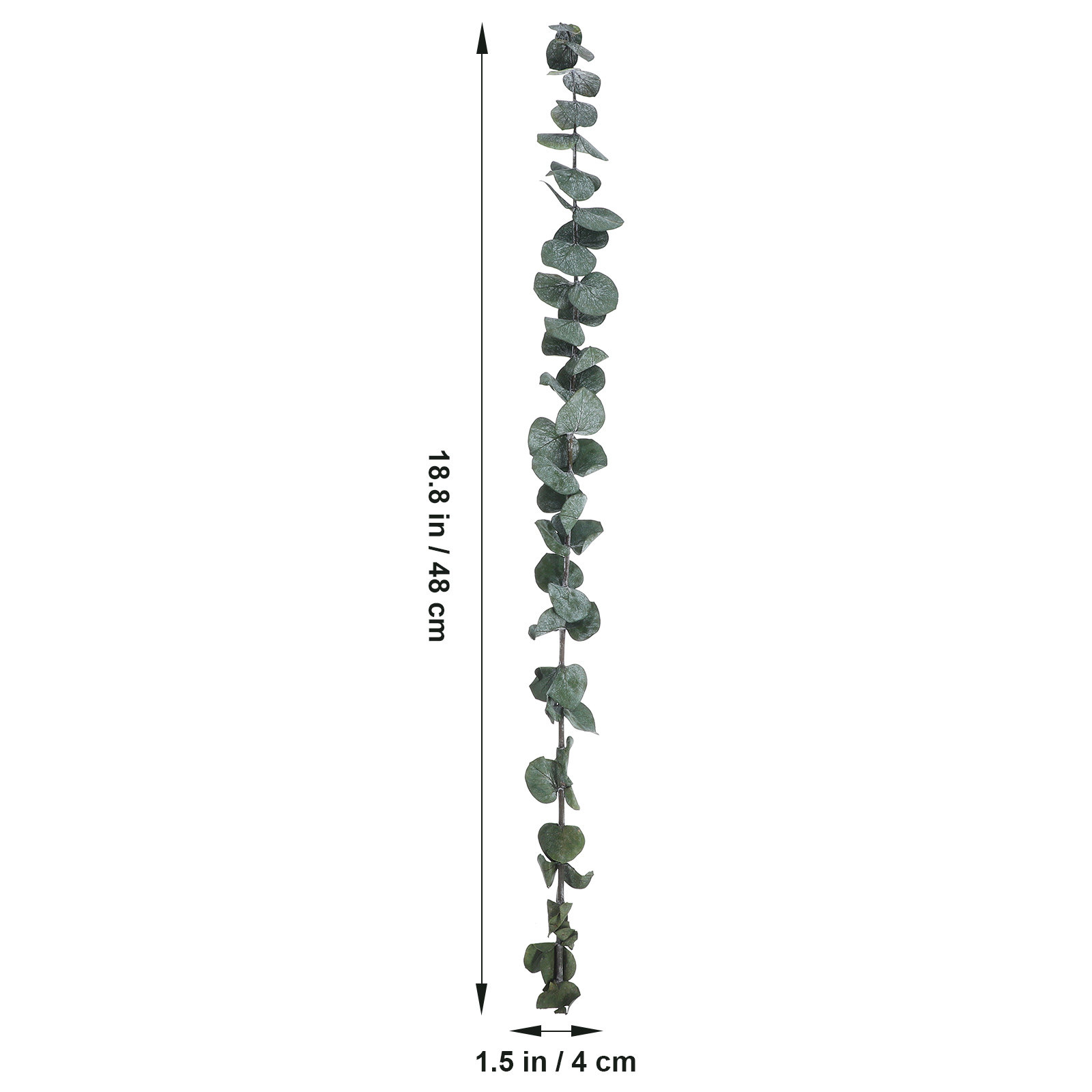 20 pcs Eucalyptus Leaves Dried - огляд і ціна Eucalyptus Preserved